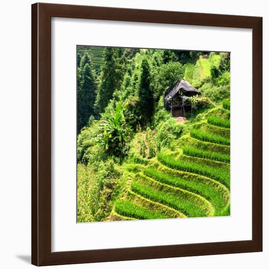 China 10MKm2 Collection - Rice Terraces - Longsheng Ping'an - Guangxi-Philippe Hugonnard-Framed Photographic Print