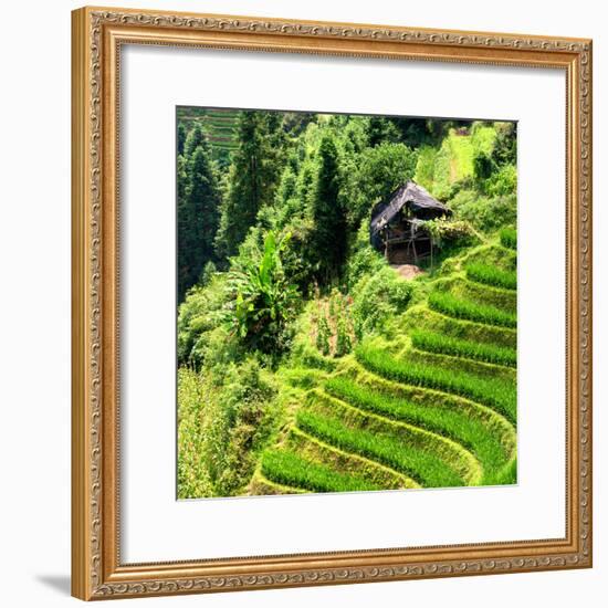 China 10MKm2 Collection - Rice Terraces - Longsheng Ping'an - Guangxi-Philippe Hugonnard-Framed Photographic Print