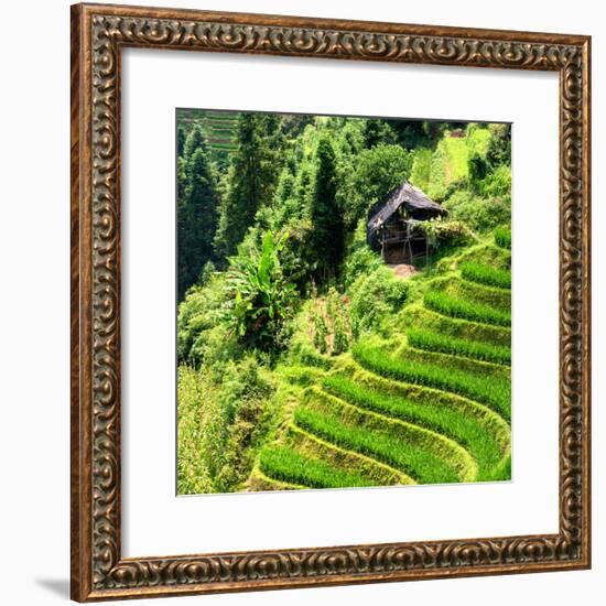 China 10MKm2 Collection - Rice Terraces - Longsheng Ping'an - Guangxi-Philippe Hugonnard-Framed Photographic Print