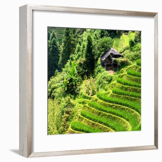 China 10MKm2 Collection - Rice Terraces - Longsheng Ping'an - Guangxi-Philippe Hugonnard-Framed Photographic Print