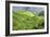 China 10MKm2 Collection - Rice Terraces - Longsheng Ping'an - Guangxi-Philippe Hugonnard-Framed Photographic Print