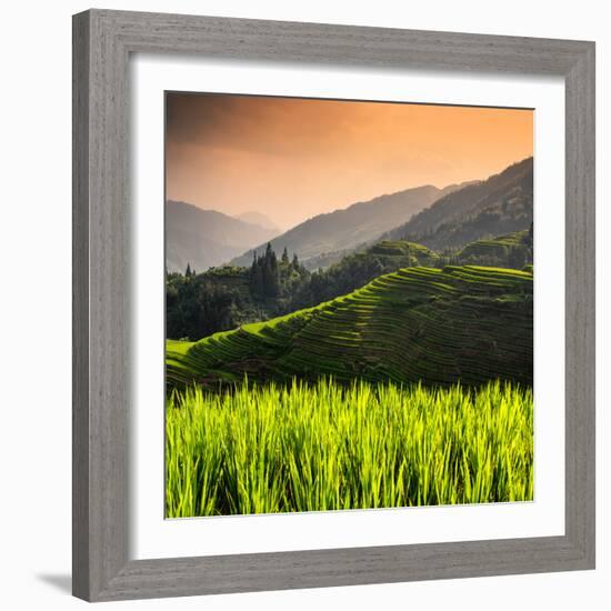 China 10MKm2 Collection - Rice Terraces - Longsheng Ping'an - Guangxi-Philippe Hugonnard-Framed Photographic Print