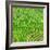 China 10MKm2 Collection - Rice Terraces - Longsheng Ping'an - Guangxi-Philippe Hugonnard-Framed Photographic Print