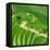 China 10MKm2 Collection - Rice Terraces - Longsheng Ping'an - Guangxi-Philippe Hugonnard-Framed Premier Image Canvas