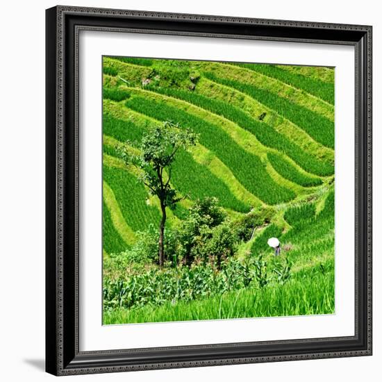 China 10MKm2 Collection - Rice Terraces - Longsheng Ping'an - Guangxi-Philippe Hugonnard-Framed Photographic Print