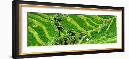 China 10MKm2 Collection - Rice Terraces - Longsheng Ping'an - Guangxi-Philippe Hugonnard-Framed Photographic Print