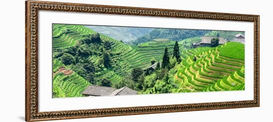 China 10MKm2 Collection - Rice Terraces - Longsheng Ping'an - Guangxi-Philippe Hugonnard-Framed Photographic Print