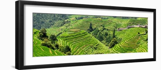 China 10MKm2 Collection - Rice Terraces - Longsheng Ping'an - Guangxi-Philippe Hugonnard-Framed Photographic Print