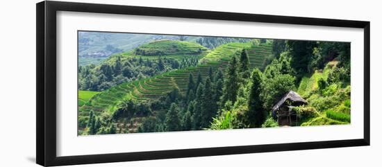 China 10MKm2 Collection - Rice Terraces - Longsheng Ping'an - Guangxi-Philippe Hugonnard-Framed Photographic Print