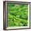 China 10MKm2 Collection - Rice Terraces - Longsheng Ping'an - Guangxi-Philippe Hugonnard-Framed Photographic Print