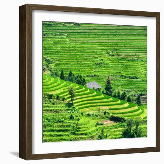 China 10MKm2 Collection - Rice Terraces - Longsheng Ping'an - Guangxi-Philippe Hugonnard-Framed Photographic Print