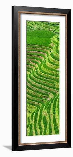 China 10MKm2 Collection - Rice Terraces - Longsheng Ping'an - Guangxi-Philippe Hugonnard-Framed Photographic Print