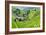 China 10MKm2 Collection - Rice Terraces - Longsheng Ping'an - Guangxi-Philippe Hugonnard-Framed Photographic Print