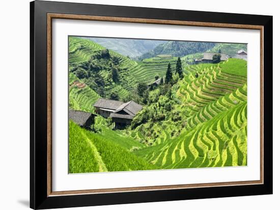 China 10MKm2 Collection - Rice Terraces - Longsheng Ping'an - Guangxi-Philippe Hugonnard-Framed Photographic Print