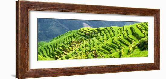 China 10MKm2 Collection - Rice Terraces - Longsheng Ping'an - Guangxi-Philippe Hugonnard-Framed Photographic Print