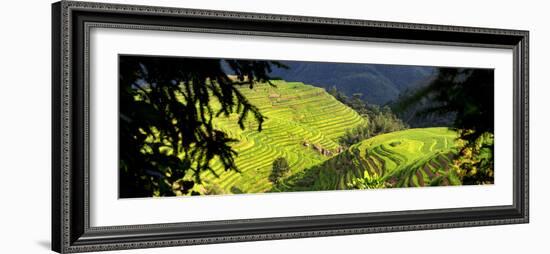 China 10MKm2 Collection - Rice Terraces - Longsheng Ping'an - Guangxi-Philippe Hugonnard-Framed Photographic Print