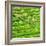 China 10MKm2 Collection - Rice Terraces - Longsheng Ping'an - Guangxi-Philippe Hugonnard-Framed Photographic Print