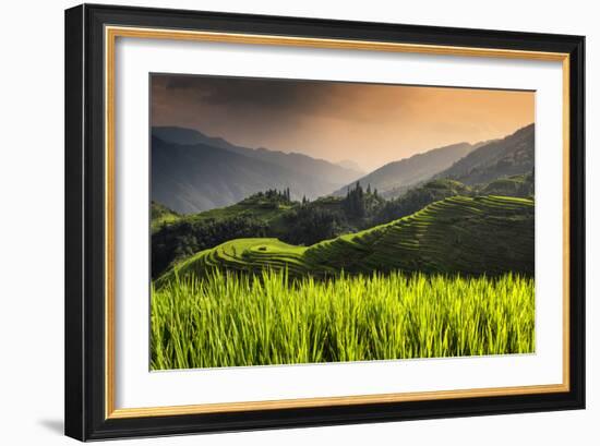 China 10MKm2 Collection - Rice Terraces - Longsheng Ping'an - Guangxi-Philippe Hugonnard-Framed Photographic Print