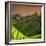 China 10MKm2 Collection - Rice Terraces - Longsheng Ping'an - Guangxi-Philippe Hugonnard-Framed Photographic Print