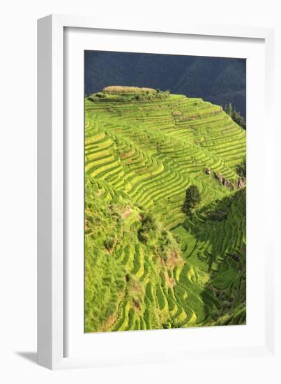 China 10MKm2 Collection - Rice Terraces - Longsheng Ping'an - Guangxi-Philippe Hugonnard-Framed Photographic Print