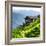 China 10MKm2 Collection - Rice Terraces - Longsheng Ping'an - Guangxi-Philippe Hugonnard-Framed Photographic Print