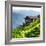 China 10MKm2 Collection - Rice Terraces - Longsheng Ping'an - Guangxi-Philippe Hugonnard-Framed Photographic Print