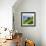 China 10MKm2 Collection - Rice Terraces - Longsheng Ping'an - Guangxi-Philippe Hugonnard-Framed Photographic Print displayed on a wall