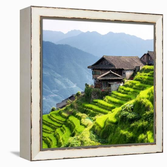 China 10MKm2 Collection - Rice Terraces - Longsheng Ping'an - Guangxi-Philippe Hugonnard-Framed Premier Image Canvas