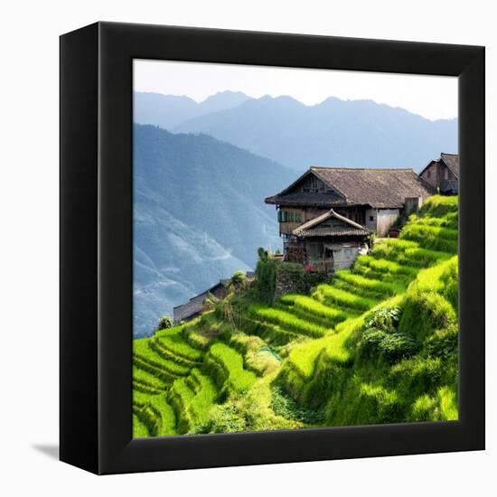 China 10MKm2 Collection - Rice Terraces - Longsheng Ping'an - Guangxi-Philippe Hugonnard-Framed Premier Image Canvas