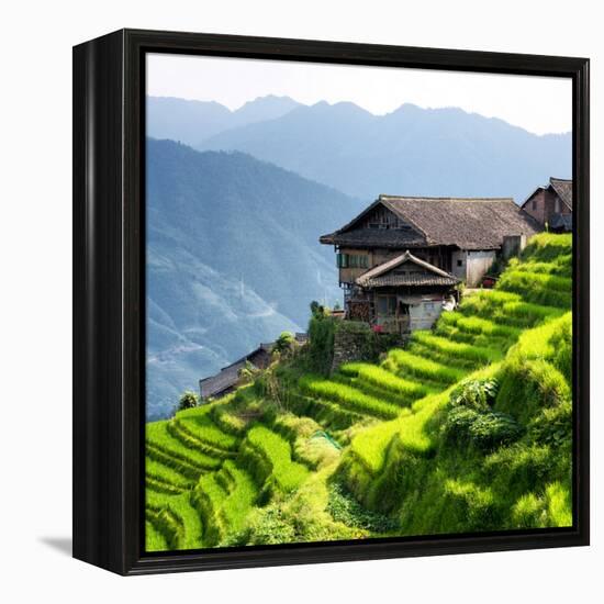 China 10MKm2 Collection - Rice Terraces - Longsheng Ping'an - Guangxi-Philippe Hugonnard-Framed Premier Image Canvas