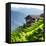 China 10MKm2 Collection - Rice Terraces - Longsheng Ping'an - Guangxi-Philippe Hugonnard-Framed Premier Image Canvas