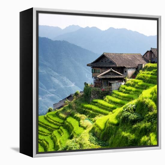 China 10MKm2 Collection - Rice Terraces - Longsheng Ping'an - Guangxi-Philippe Hugonnard-Framed Premier Image Canvas