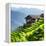 China 10MKm2 Collection - Rice Terraces - Longsheng Ping'an - Guangxi-Philippe Hugonnard-Framed Premier Image Canvas