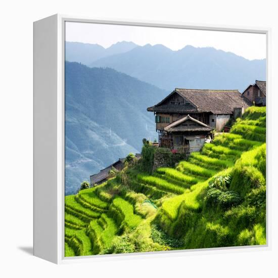 China 10MKm2 Collection - Rice Terraces - Longsheng Ping'an - Guangxi-Philippe Hugonnard-Framed Premier Image Canvas