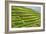 China 10MKm2 Collection - Rice Terraces - Longsheng Ping'an - Guangxi-Philippe Hugonnard-Framed Photographic Print