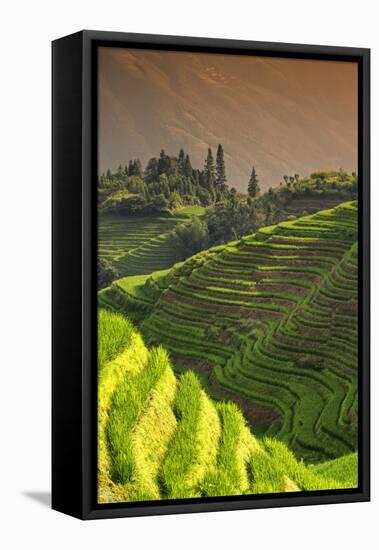 China 10MKm2 Collection - Rice Terraces - Longsheng Ping'an - Guangxi-Philippe Hugonnard-Framed Premier Image Canvas