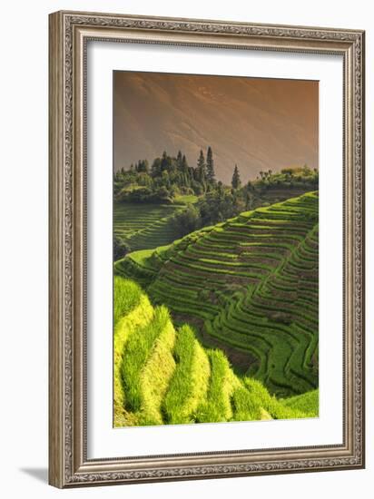 China 10MKm2 Collection - Rice Terraces - Longsheng Ping'an - Guangxi-Philippe Hugonnard-Framed Photographic Print