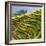 China 10MKm2 Collection - Rice Terraces - Longsheng Ping'an - Guangxi-Philippe Hugonnard-Framed Photographic Print