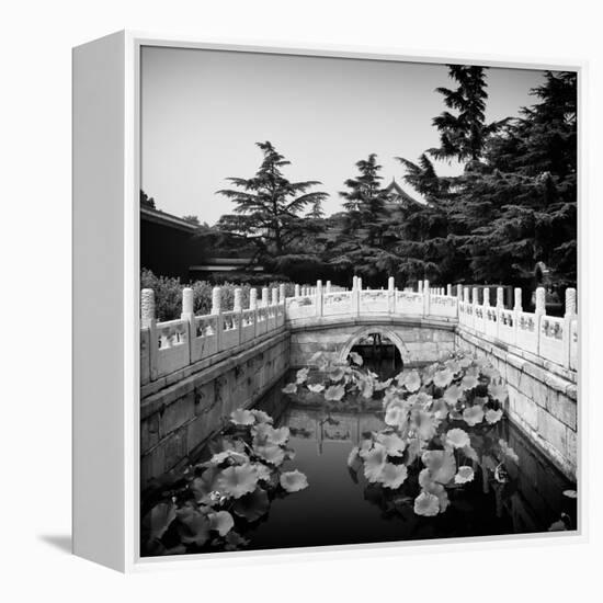 China 10MKm2 Collection - River of Gold - Forbidden City-Philippe Hugonnard-Framed Premier Image Canvas