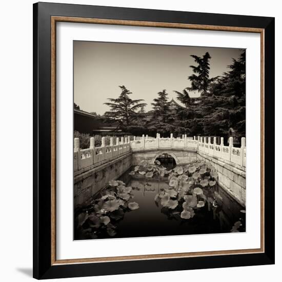 China 10MKm2 Collection - River of Gold - Forbidden City-Philippe Hugonnard-Framed Photographic Print