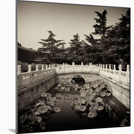 China 10MKm2 Collection - River of Gold - Forbidden City-Philippe Hugonnard-Mounted Photographic Print