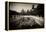 China 10MKm2 Collection - River of Gold - Forbidden City-Philippe Hugonnard-Framed Premier Image Canvas