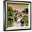 China 10MKm2 Collection - Shanghai Water Town - Qibao-Philippe Hugonnard-Framed Photographic Print