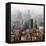 China 10MKm2 Collection - Shanghai-Philippe Hugonnard-Framed Premier Image Canvas