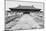 China 10MKm2 Collection - Stairs Forbidden City-Philippe Hugonnard-Mounted Photographic Print