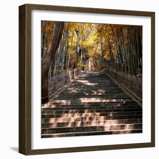 China 10MKm2 Collection - Stairs in Autumn-Philippe Hugonnard-Framed Photographic Print