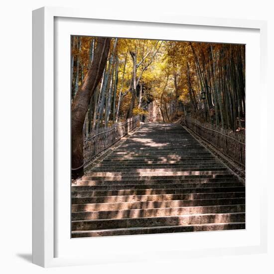 China 10MKm2 Collection - Stairs in Autumn-Philippe Hugonnard-Framed Photographic Print