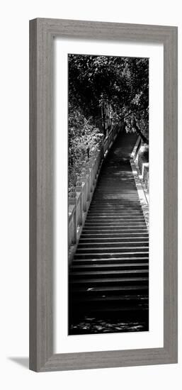 China 10MKm2 Collection - Stairway in the Forest-Philippe Hugonnard-Framed Photographic Print