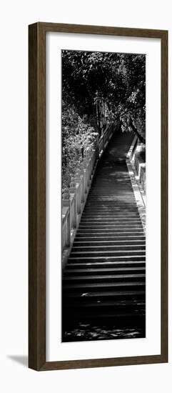 China 10MKm2 Collection - Stairway in the Forest-Philippe Hugonnard-Framed Photographic Print