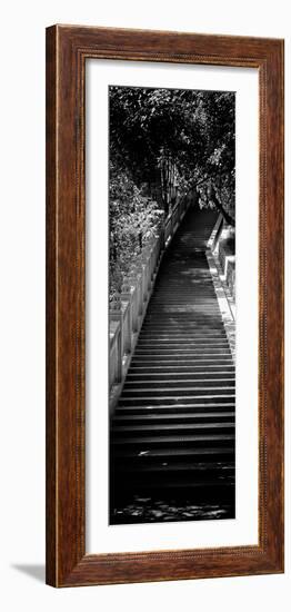 China 10MKm2 Collection - Stairway in the Forest-Philippe Hugonnard-Framed Photographic Print